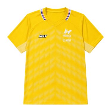 Maillot Pro NOLT Gardien JAUNE Domicile