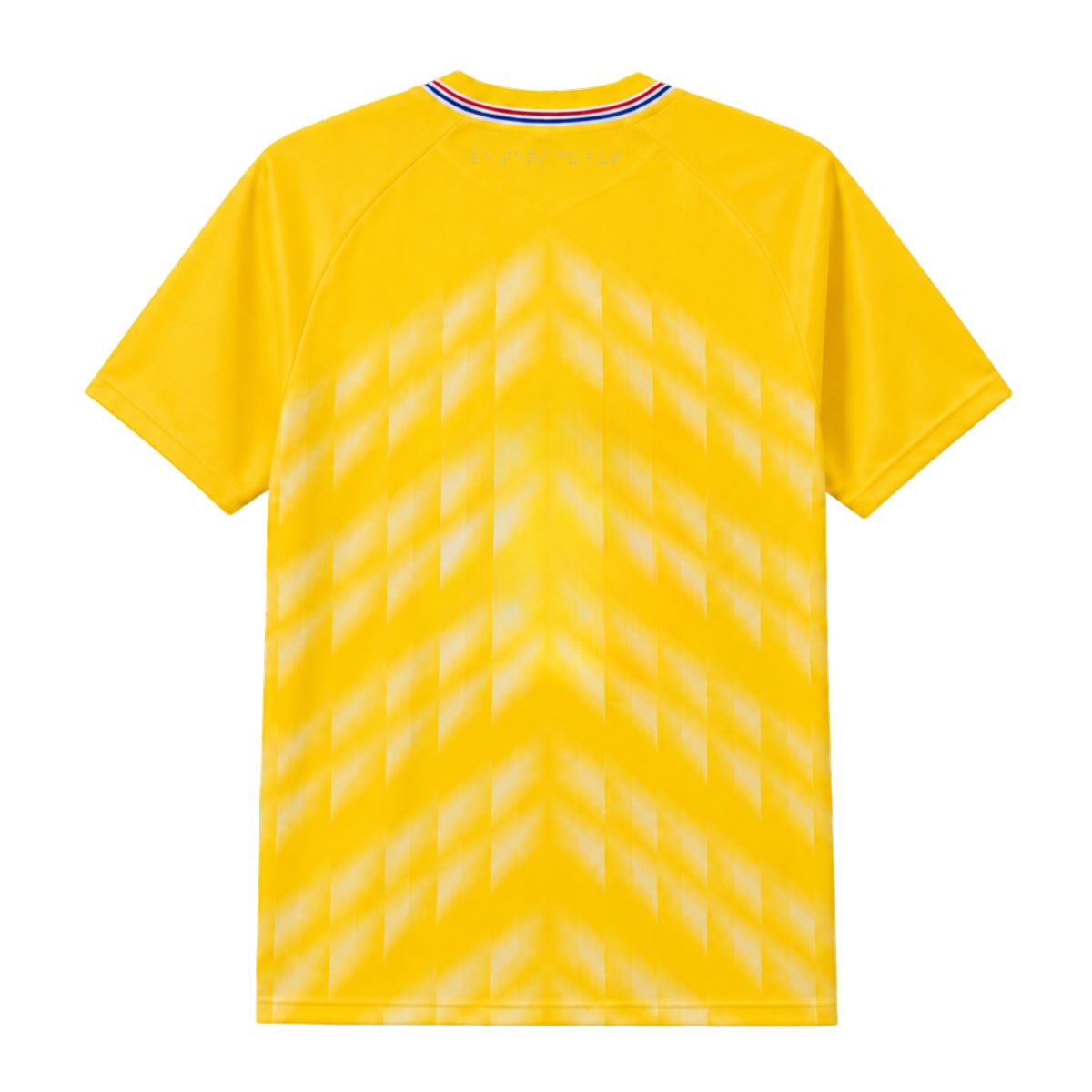 Maillot Pro NOLT Gardien JAUNE Domicile